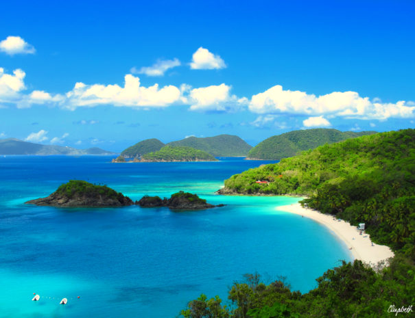 Trunk Bay